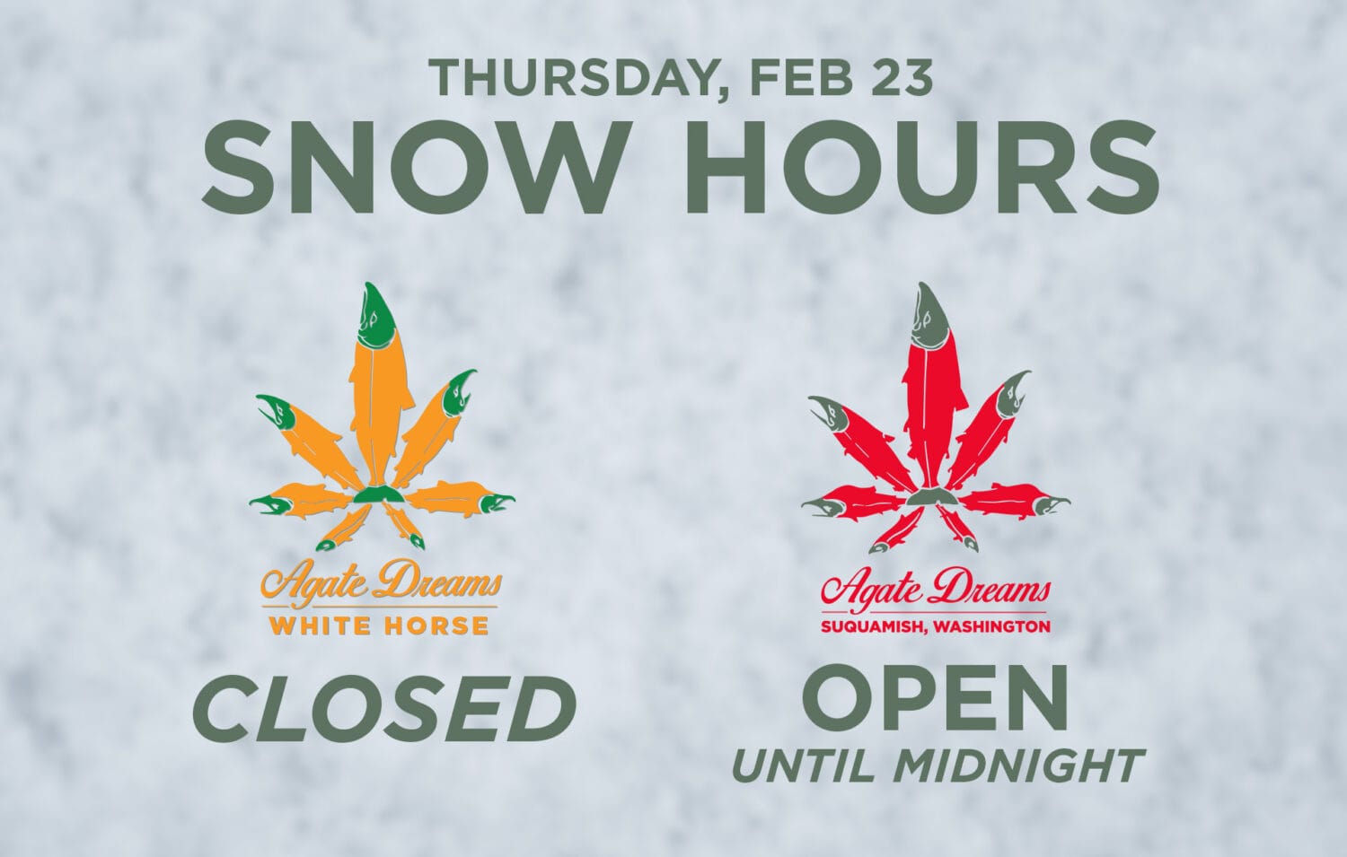 Snow Hours 2-23