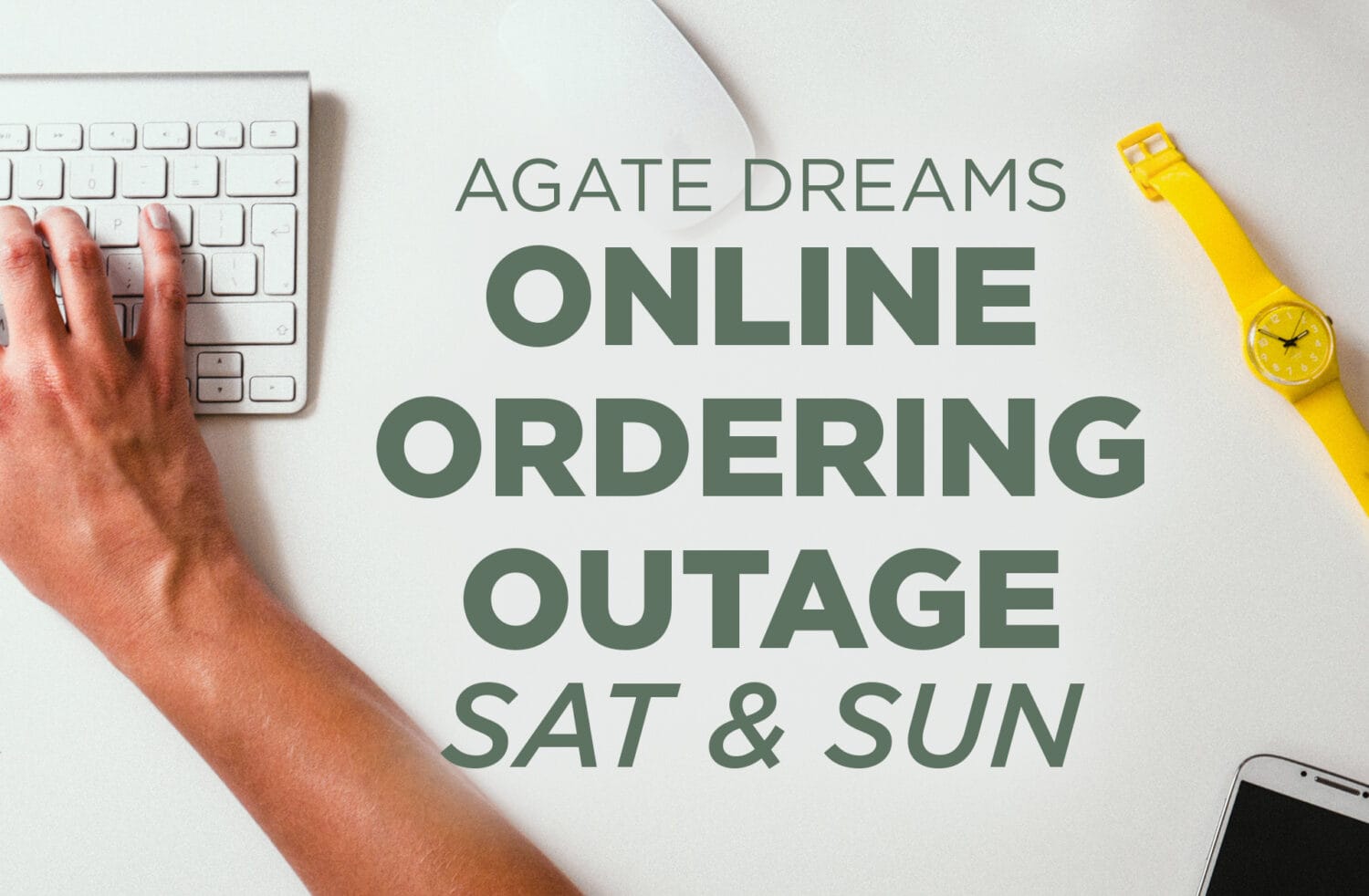 Online Ordering Down