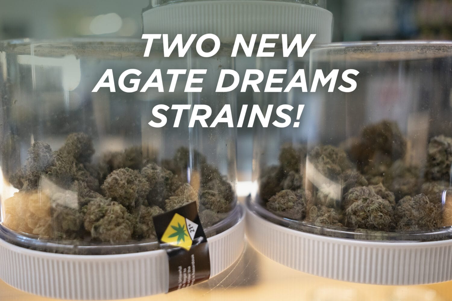 two new Agate strains v2
