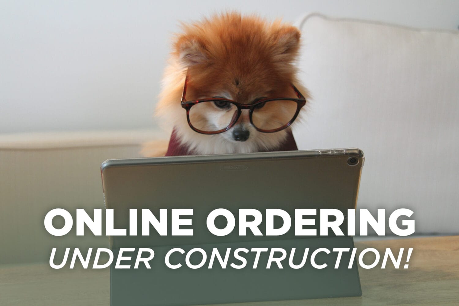 Online Ordering Update