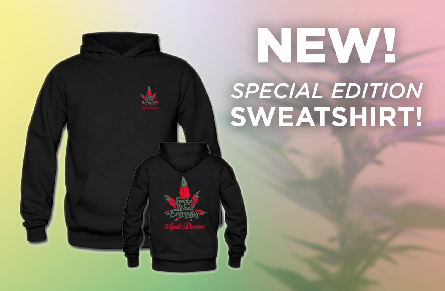 Special Edition Hoodie
